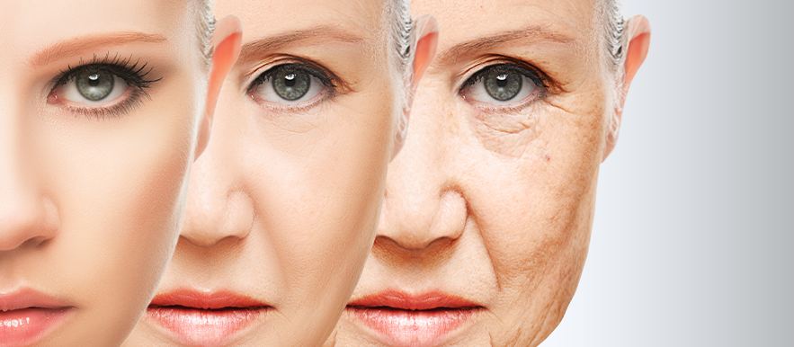 Medicina Antiaging